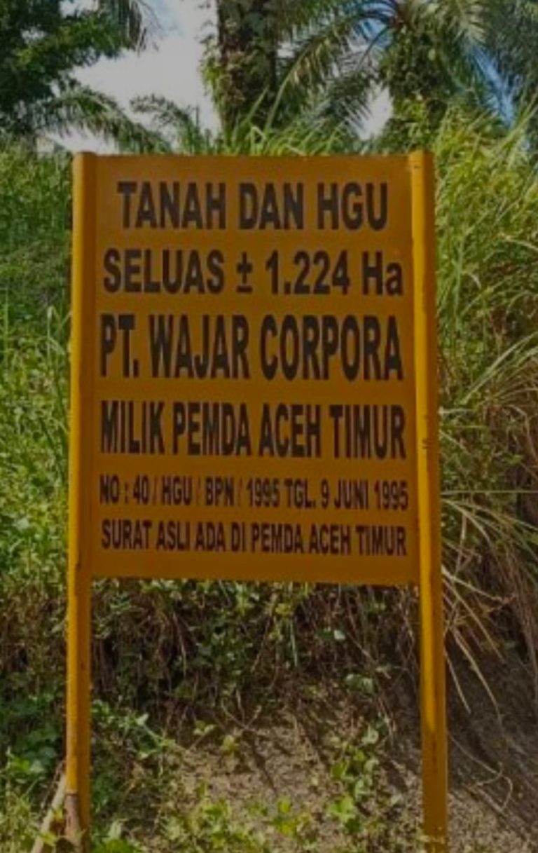IMG-20241221-WA0021