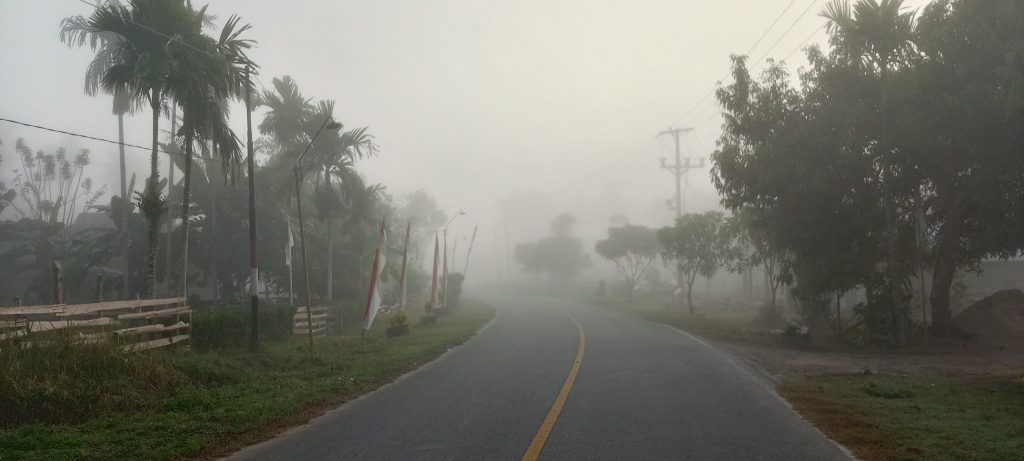 1000103683-1024x461.jpg